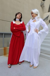 cos_bria_2014_AOEWinter4